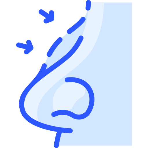بینی
